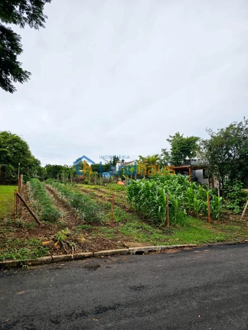 Terreno à venda em Farroupilha, Ivoti