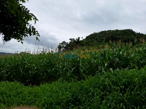 Área de Terras / Chácaras à venda em Capela do Rosario, São José do Hortêncio