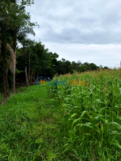 Área de Terras / Chácaras à venda em Capela do Rosario, São José do Hortêncio