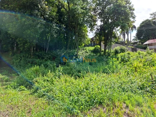 Terreno à venda em Cidade Nova, Ivoti