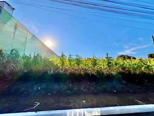 Terreno à venda em Morada do Sol, Ivoti