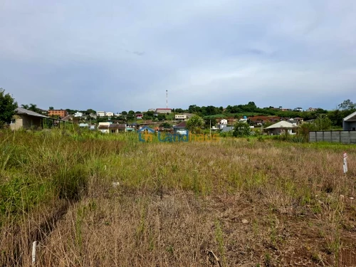 Terreno à venda em Centro, São José do Hortêncio
