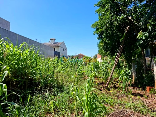 Terreno à venda em 25 de Julho, Ivoti