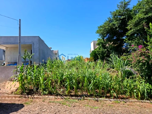 Terreno à venda em 25 de Julho, Ivoti