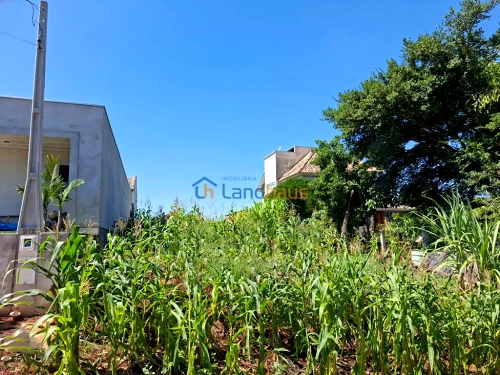 Terreno à venda em 25 de Julho, Ivoti