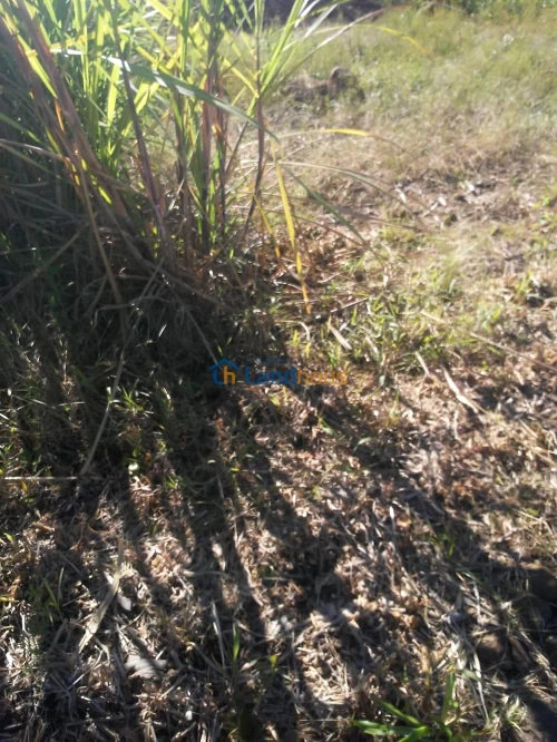 Terreno à venda em Centro, São José do Hortêncio