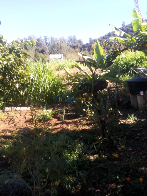Terreno à venda em Centro, São José do Hortêncio