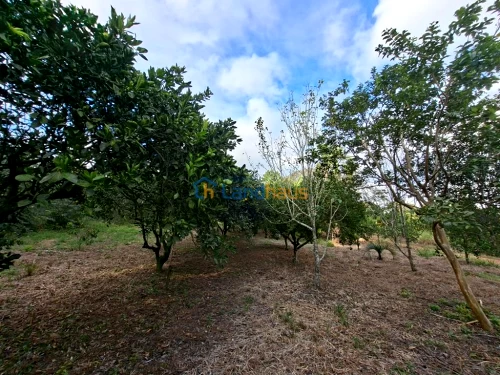 Área de Terras / Chácaras à venda em Macaco Branco, Portão