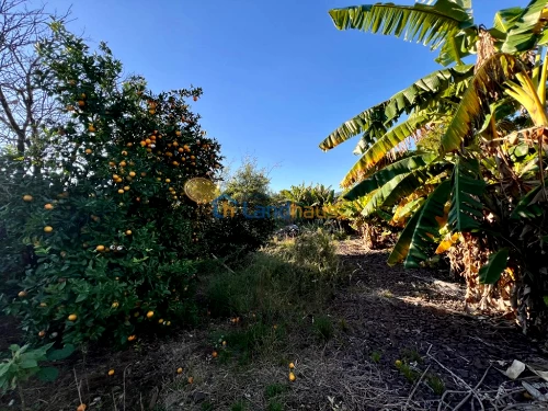 Terreno à venda em Bom Pastor, Ivoti