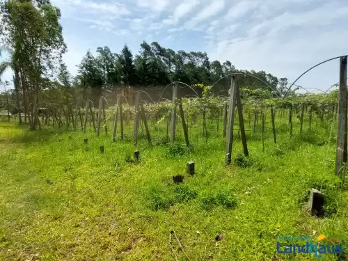 Imóvel 1405
