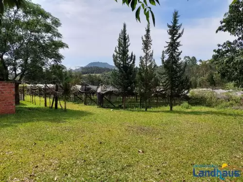 Imóvel 1405