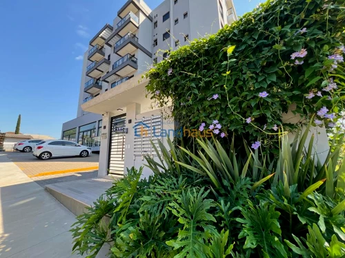 Apartamento para alugar em Centro, Ivoti