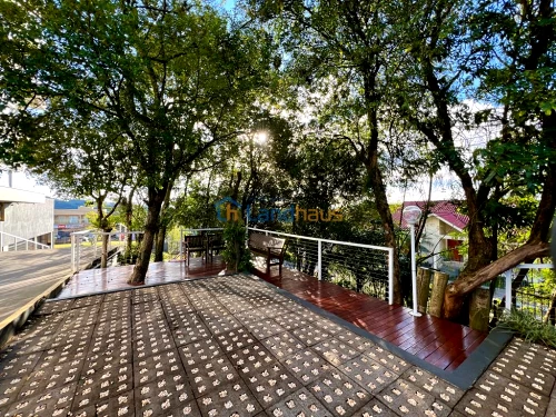 Apartamento para alugar em Vista Alegre, Ivoti