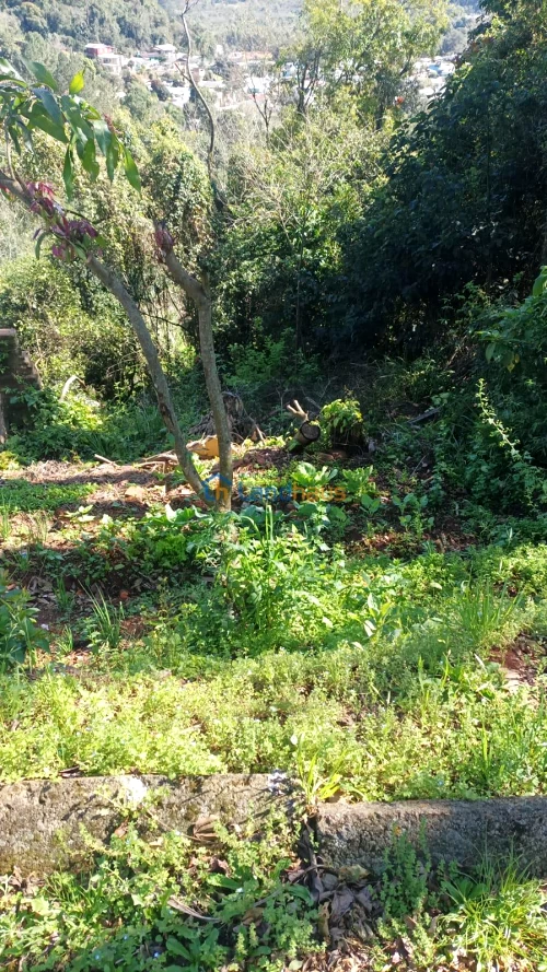 Terreno à venda em Vila Três Passos, Lindolfo Collor