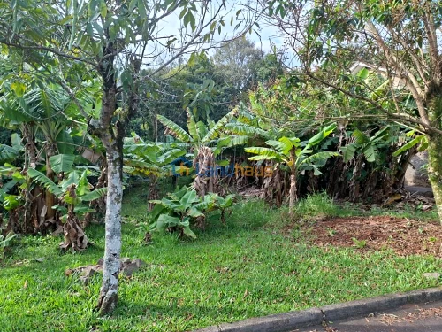 Terreno à venda em Concórdia, Ivoti