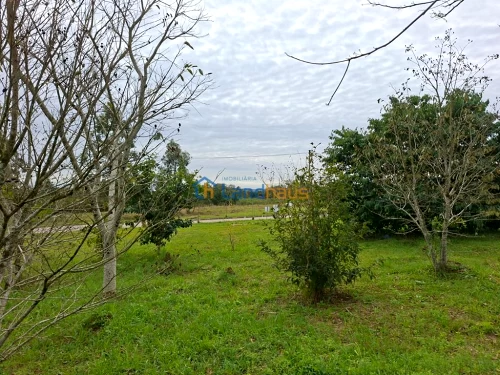 Terreno à venda em Colina Verde, Ivoti