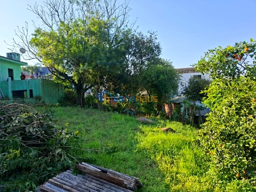 Terreno à venda em Jardim Panorâmico, Ivoti