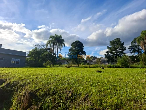 Terreno à venda em Cidade Nova, Ivoti